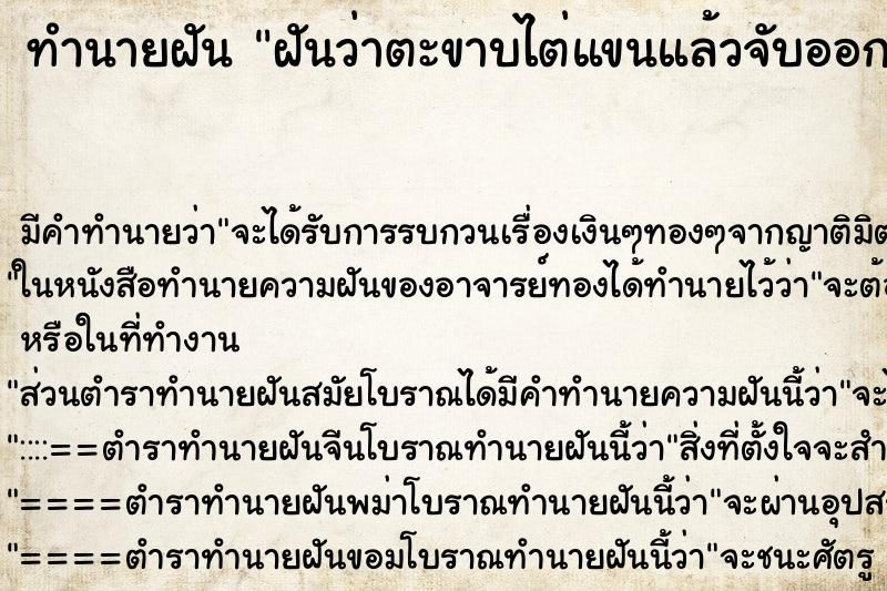 ทำนายฝัน ฝันว่าตะขาบไต่แขนแล้วจับออก ตำราโบราณ แม่นที่สุดในโลก