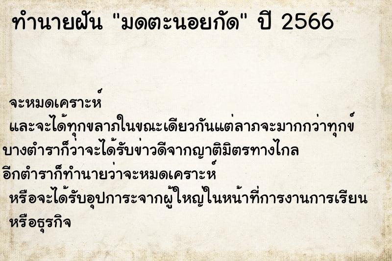 ทำนายฝันมดตะนอยกัด ทำนายฝันทำนายฝันมดตะนอยกัด