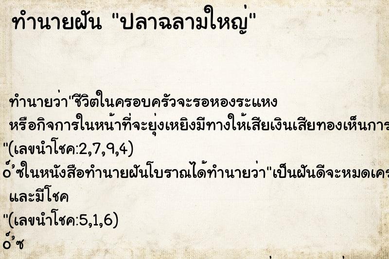ทำนายฝัน ปลาฉลามใหญ่ ทำนายฝัน ปลาฉลามใหญ่