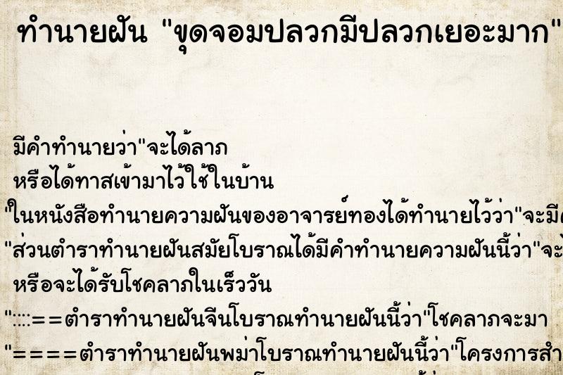 ทำนายฝันขุดจอมปลวกมีปลวกเยอะมาก ทำนายฝันทำนายฝันขุดจอมปลวกมีปลวกเยอะมาก