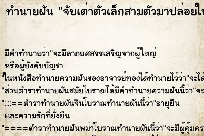ทำนายฝันจับเต่าตัวเล็กสามตัวมาปล่อยในน้ำ ทำนายฝันทำนายฝันจับเต่าตัวเล็กสามตัวมาปล่อยในน้ำ