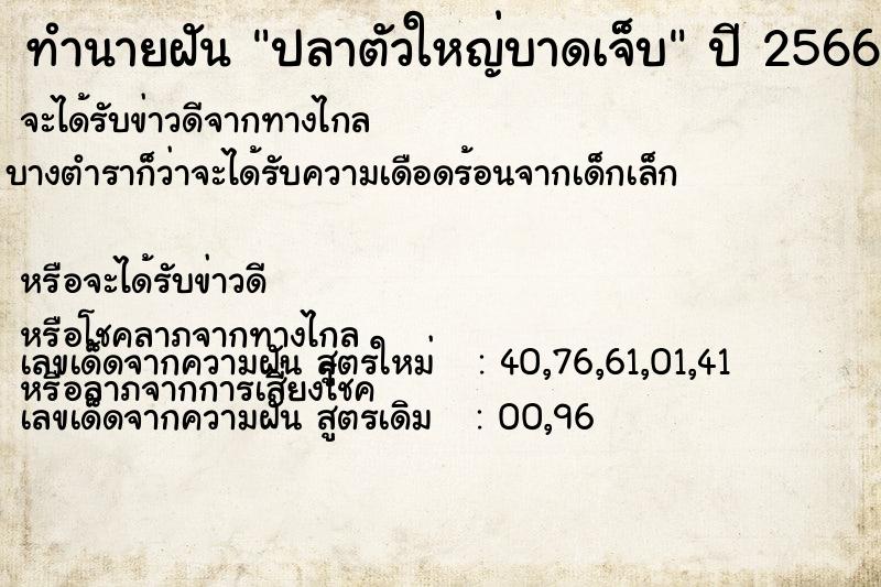 ทำนายฝัน ปลาตัวใหญ่บาดเจ็บ ทำนายฝัน ปลาตัวใหญ่บาดเจ็บ
