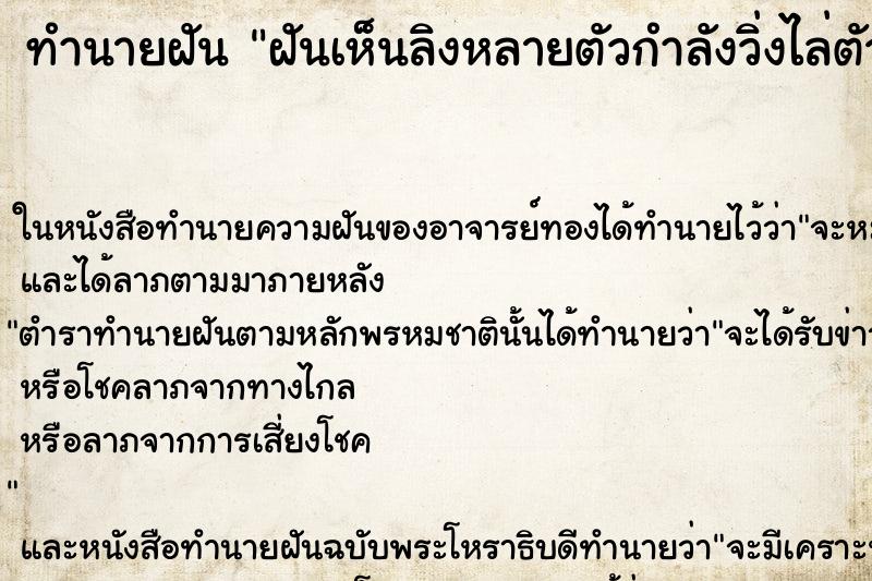 ทำนายฝันฝันเห็นลิงหลายตัวกำลังวิ่งไล่ตัวเอง ทำนายฝันทำนายฝันฝันเห็นลิงหลายตัวกำลังวิ่งไล่ตัวเอง