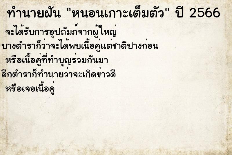 ทำนายฝันหนอนเกาะเต็มตัว ทำนายฝันทำนายฝันหนอนเกาะเต็มตัว