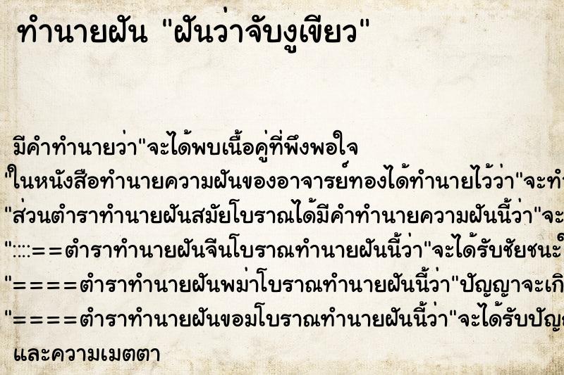 ทำนายฝัน ฝันว่าจับงูเขียว ทำนายฝัน ฝันว่าจับงูเขียว