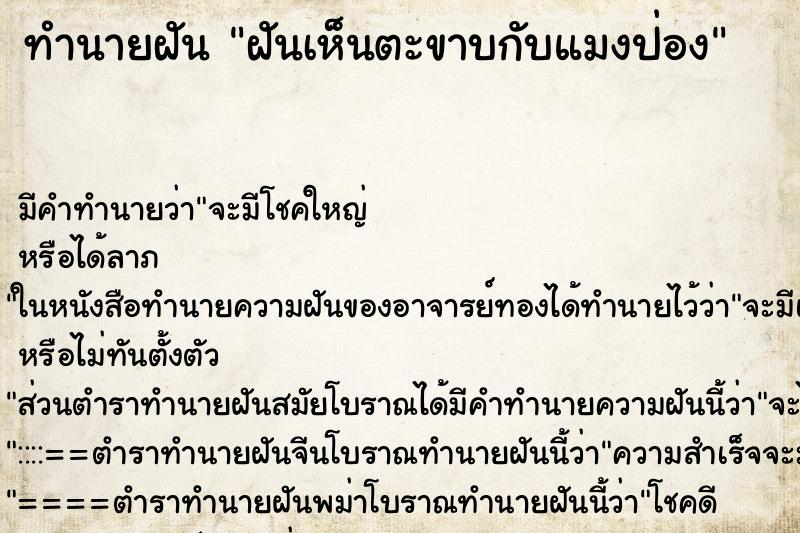 ทำนายฝัน ฝันเห็นตะขาบกับแมงป่อง ทำนายฝัน ฝันเห็นตะขาบกับแมงป่อง