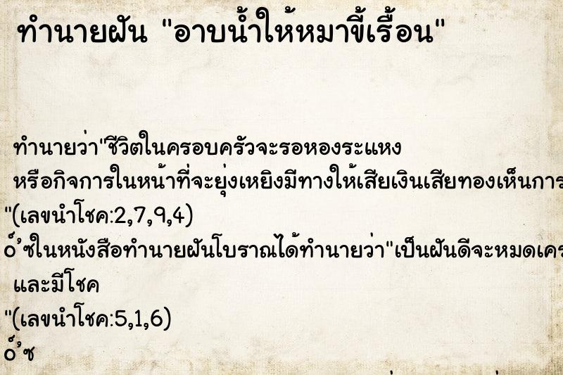 ทำนายฝันอาบน้ำให้หมาขี้เรื้อน ทำนายฝันทำนายฝันอาบน้ำให้หมาขี้เรื้อน