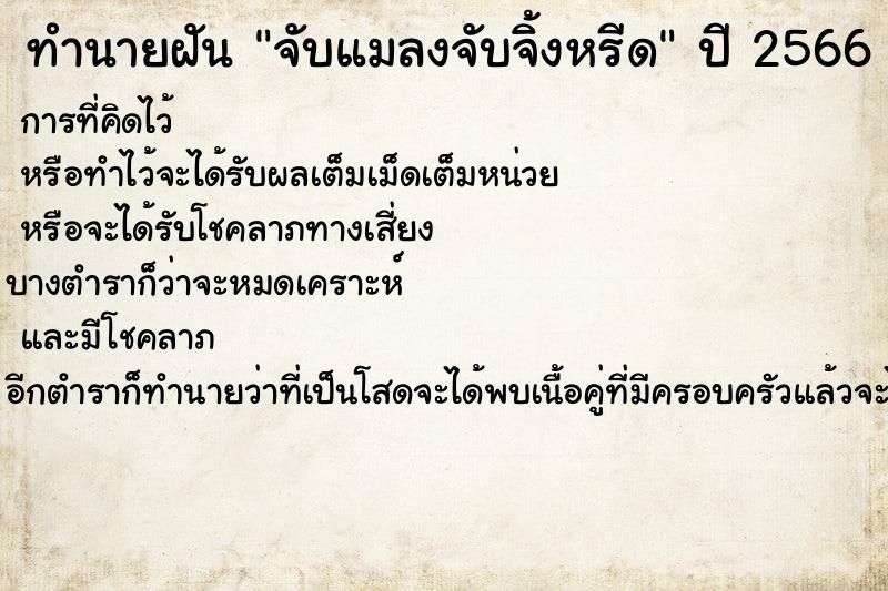 ทำนายฝันทำนายฝันจับแมลงจับจิ้งหรีด