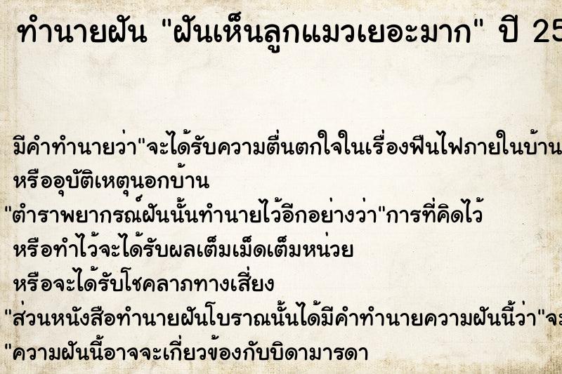 ทำนายฝัน ฝันเห็นลูกแมวเยอะมาก ทำนายฝัน ฝันเห็นลูกแมวเยอะมาก