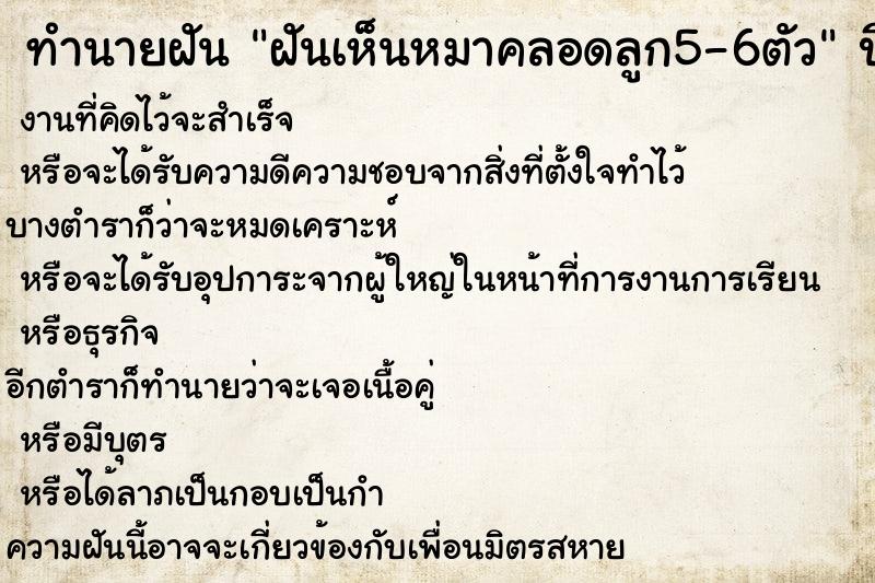 ทำนายฝันฝันเห็นหมาคลอดลูก5-6ตัว ทำนายฝันทำนายฝันฝันเห็นหมาคลอดลูก5-6ตัว