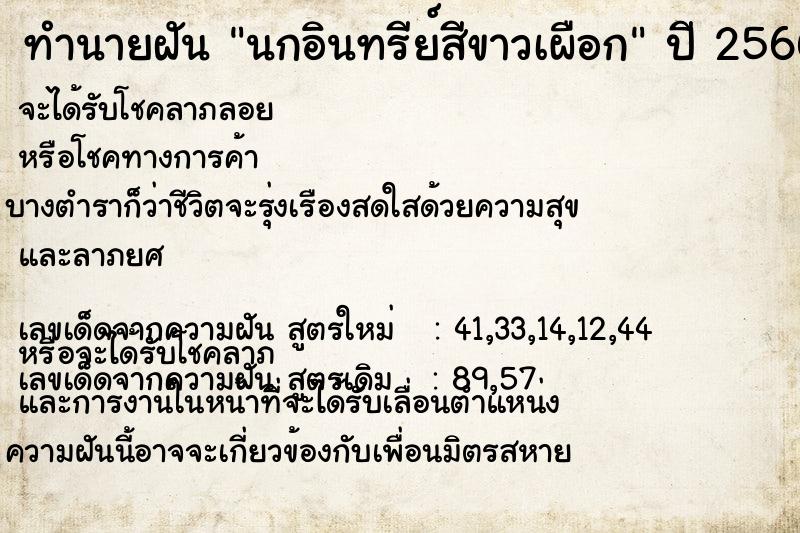 ทำนายฝันทำนายฝันนกอินทรีย์สีขาวเผือก
