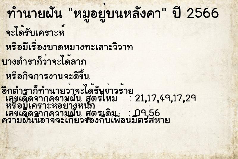 ทำนายฝัน หมูอยู่บนหลังคา