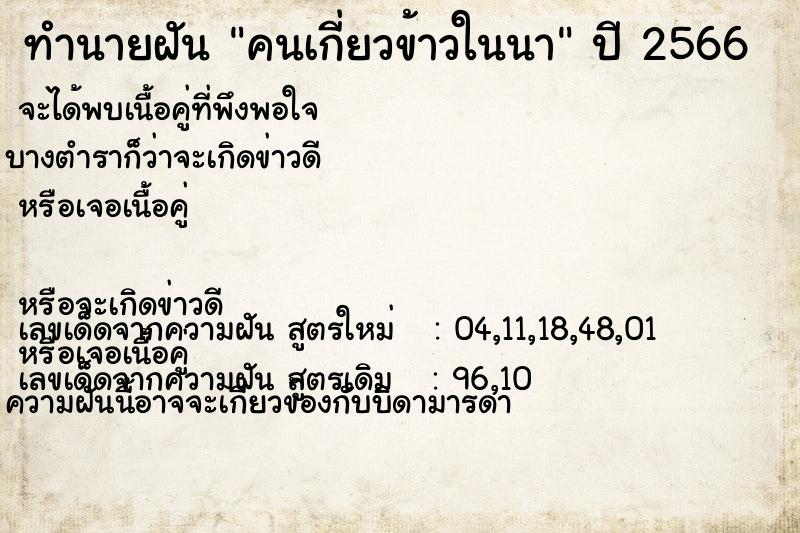 ทำนายฝัน คนเกี่ยวข้าวในนา