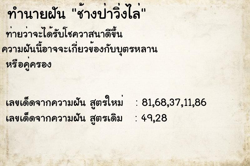 ทำนายฝันช้างป่าวิ่งไล่ ทำนายฝันทำนายฝันช้างป่าวิ่งไล่