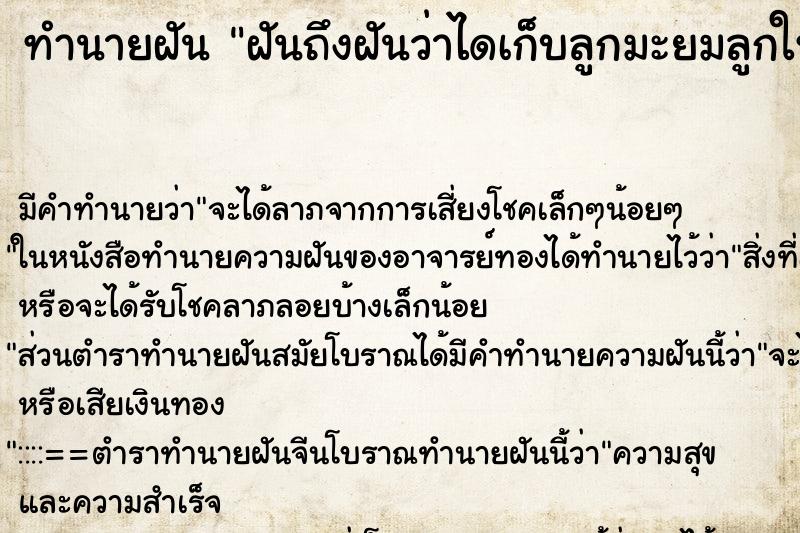 ทำนายฝันฝันถึงฝันว่าไดเก็บลูกมะยมลูกใหญ่มาก ทำนายฝันทำนายฝันฝันถึงฝันว่าไดเก็บลูกมะยมลูกใหญ่มาก