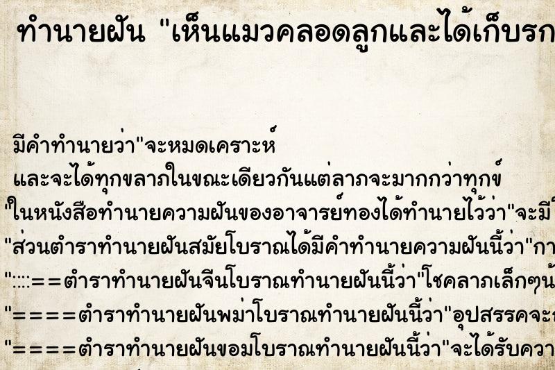 ทำนายฝัน เห็นแมวคลอดลูกและได้เก็บรกแมวไว้ ทำนายฝัน เห็นแมวคลอดลูกและได้เก็บรกแมวไว้
