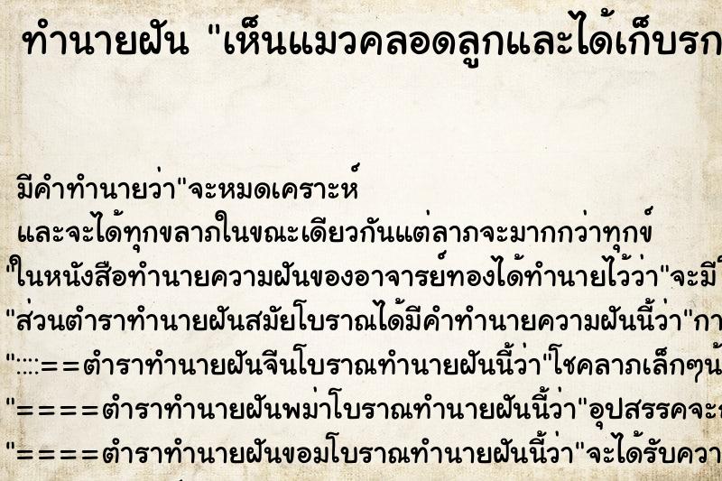 ทำนายฝัน เห็นแมวคลอดลูกและได้เก็บรกแมวไว้ ตำราโบราณ แม่นที่สุดในโลก