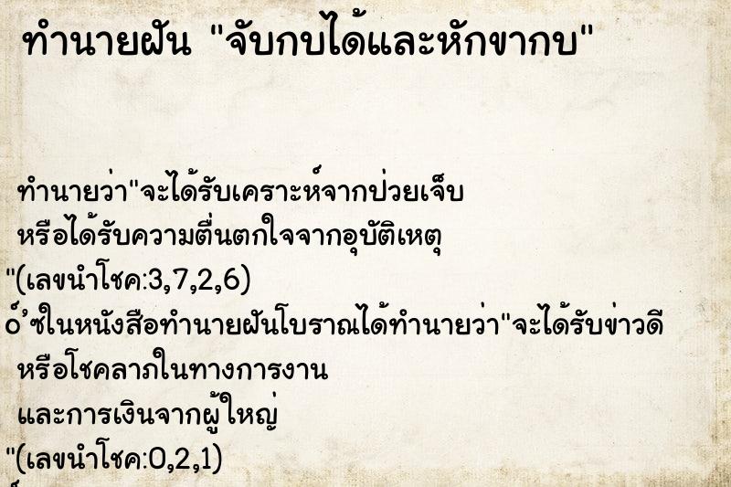 ทำนายฝันจับกบได้และหักขากบ ทำนายฝันทำนายฝันจับกบได้และหักขากบ