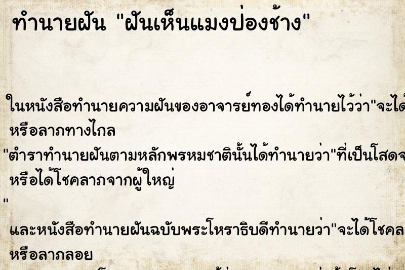 ทำนายฝันฝันเห็นแมงป่องช้าง ทำนายฝันทำนายฝันฝันเห็นแมงป่องช้าง