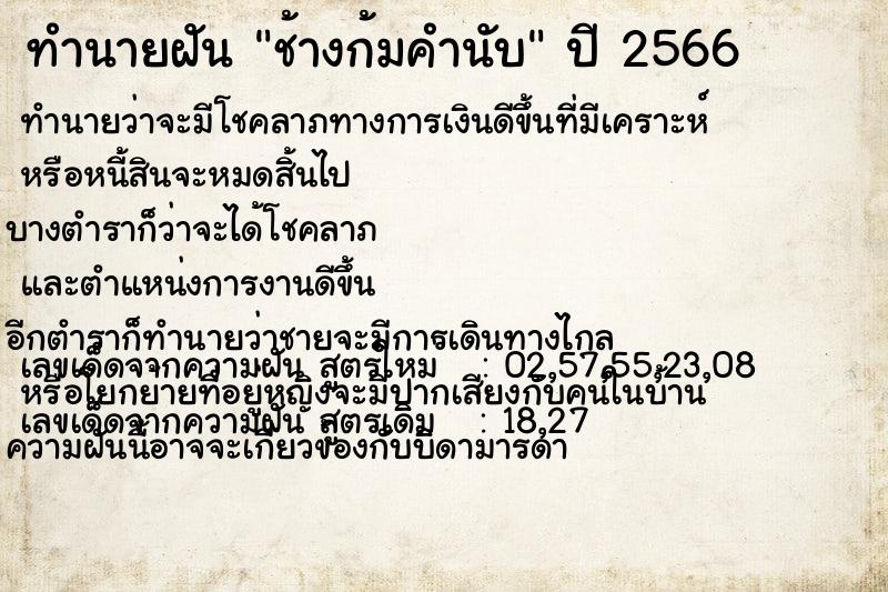 ทำนายฝันทำนายฝันช้างก้มคำนับ