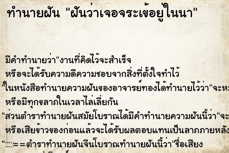ทำนายฝันฝันว่าเจอจระเข้อยู่ในนา ทำนายฝันทำนายฝันฝันว่าเจอจระเข้อยู่ในนา