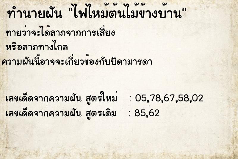 ทำนายฝันไฟไหม้ต้นไม้ข้างบ้าน ทำนายฝันทำนายฝันไฟไหม้ต้นไม้ข้างบ้าน