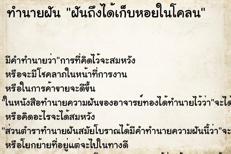 ทำนายฝันทำนายฝันฝันถึงได้เก็บหอยในโคลน
