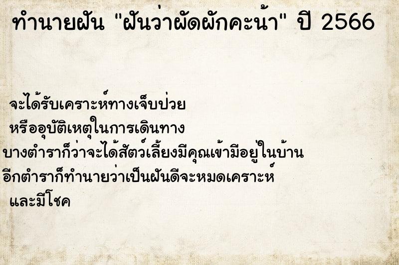 ทำนายฝันทำนายฝันฝันว่าผัดผักคะน้า