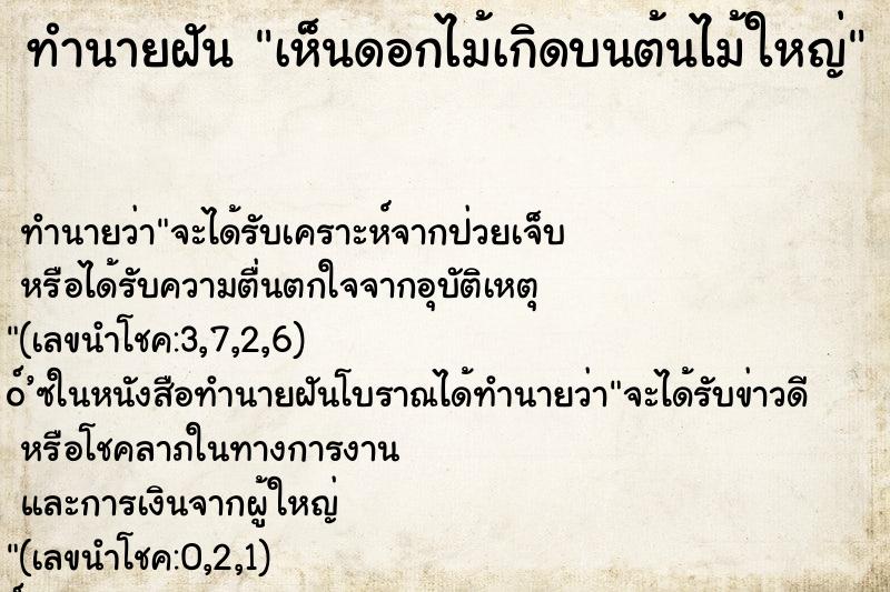ทำนายฝันเห็นดอกไม้เกิดบนต้นไม้ใหญ่ ทำนายฝันทำนายฝันเห็นดอกไม้เกิดบนต้นไม้ใหญ่