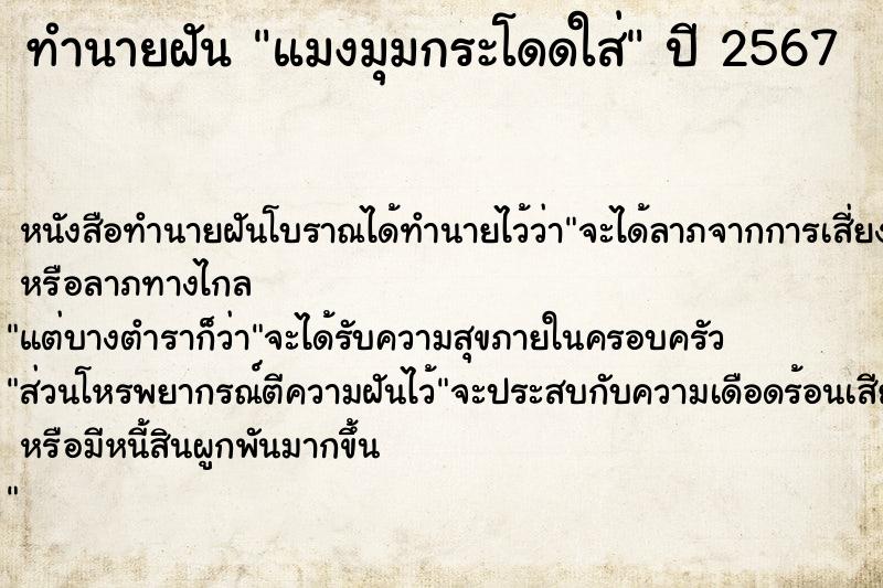 ทำนายฝันทำนายฝันแมงมุมกระโดดใส่