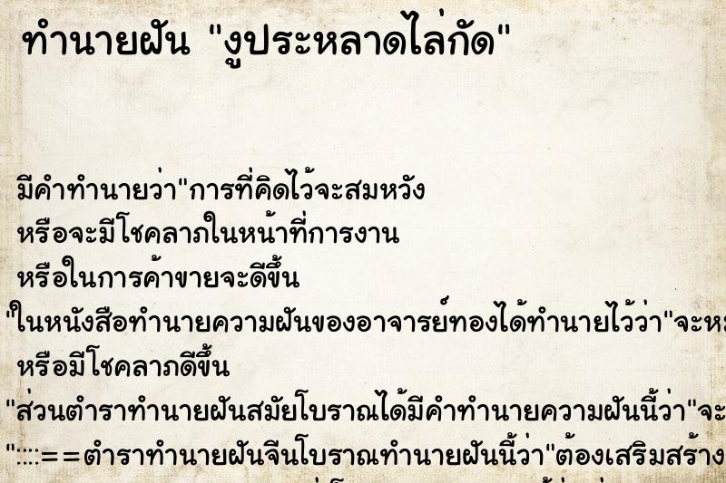 ทำนายฝันงูประหลาดไล่กัด ทำนายฝันทำนายฝันงูประหลาดไล่กัด