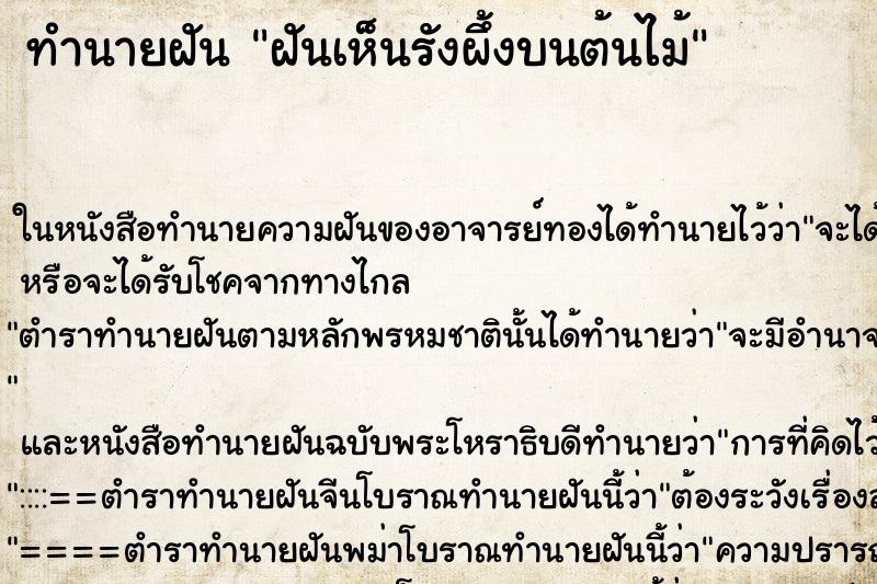 ทำนายฝัน ฝันเห็นรังผึ้งบนต้นไม้ ทำนายฝัน ฝันเห็นรังผึ้งบนต้นไม้