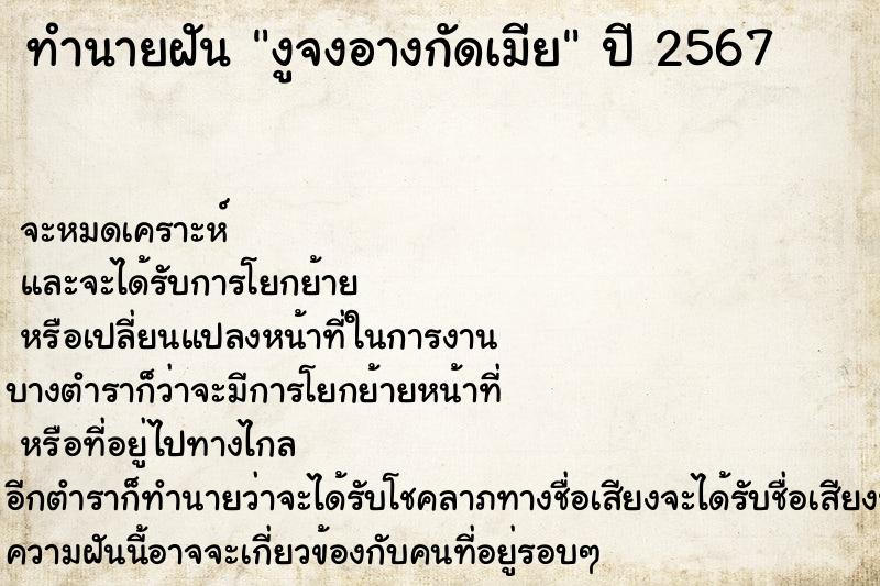 ทำนายฝันทำนายฝันงูจงอางกัดเมีย
