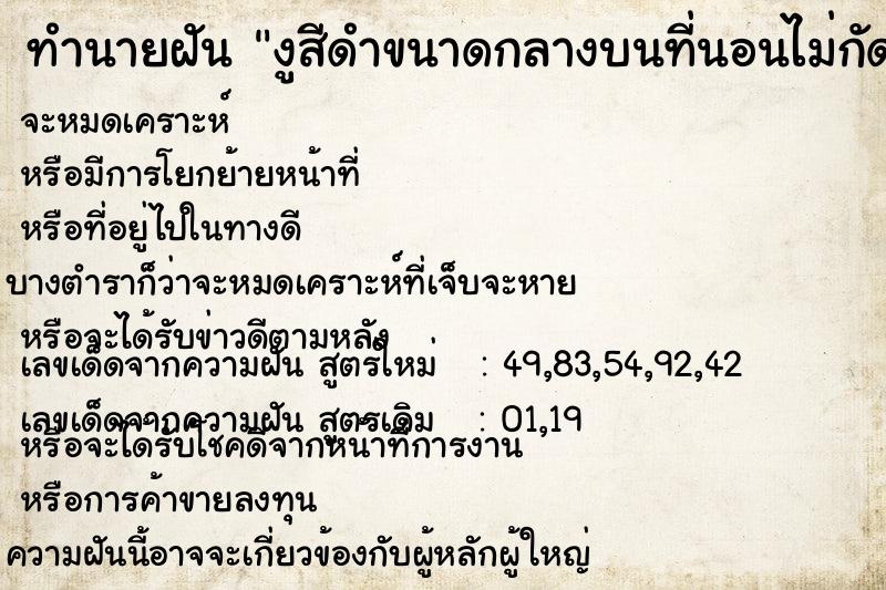 ทำนายฝัน งูสีดำขนาดกลางบนที่นอนไม่กัด ทำนายฝัน งูสีดำขนาดกลางบนที่นอนไม่กัด