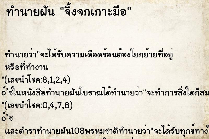 ทำนายฝันจิ้งจกเกาะมือ ทำนายฝันทำนายฝันจิ้งจกเกาะมือ