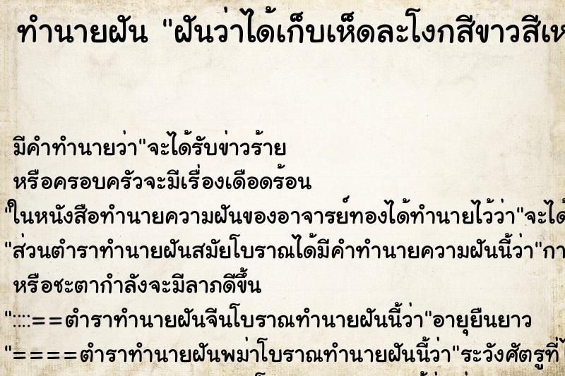 ทำนายฝัน ฝันว่าได้เก็บเห็ดละโงกสีขาวสีเหลืองมีแต่ดอกตูม ตำราโบราณ แม่นที่สุดในโลก