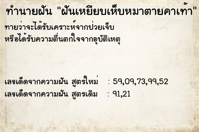 ทำนายฝัน ฝันเหยียบเห็บหมาตายคาเท้า ทำนายฝัน ฝันเหยียบเห็บหมาตายคาเท้า