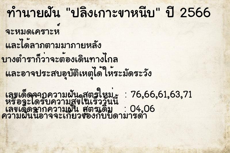 ทำนายฝันปลิงเกาะขาหนีบ ทำนายฝันทำนายฝันปลิงเกาะขาหนีบ
