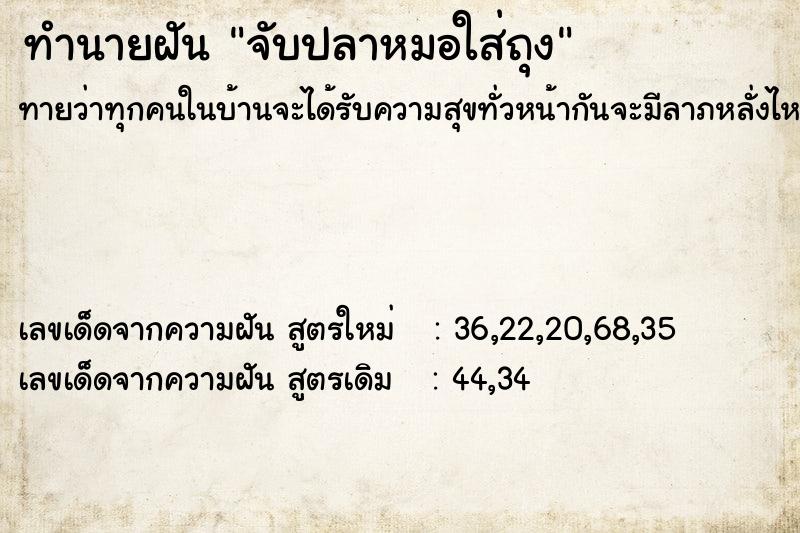 ทำนายฝัน จับปลาหมอใส่ถุง ทำนายฝัน จับปลาหมอใส่ถุง