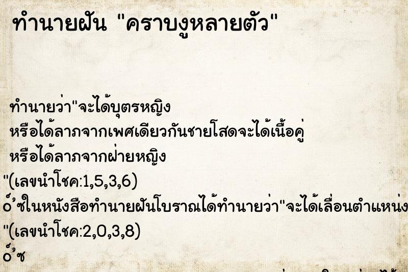 ทำนายฝันคราบงูหลายตัว ทำนายฝันทำนายฝันคราบงูหลายตัว