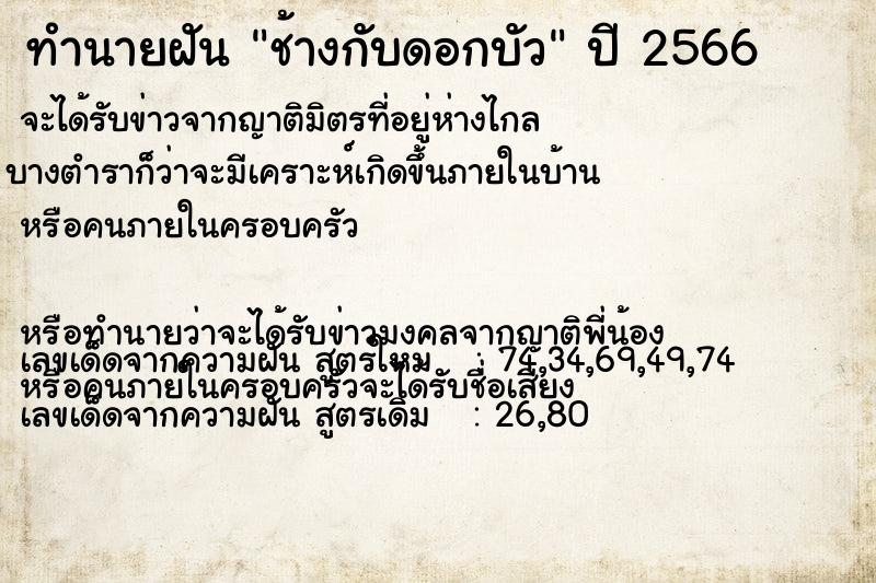 ทำนายฝัน ช้างกับดอกบัว