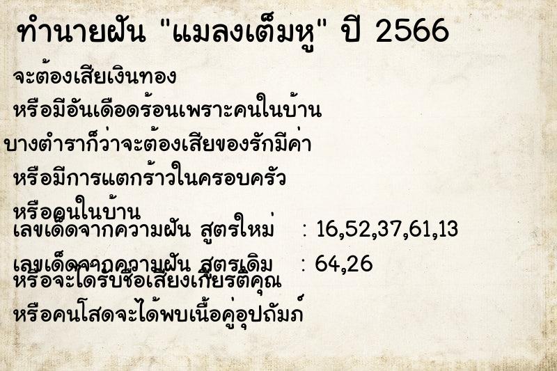 ทำนายฝัน แมลงเต็มหู ทำนายฝัน แมลงเต็มหู