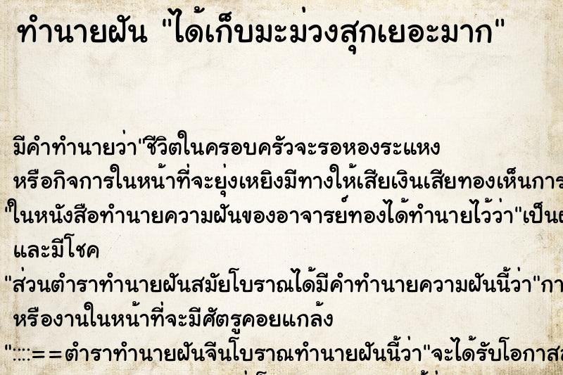 ทำนายฝัน ได้เก็บมะม่วงสุกเยอะมาก ทำนายฝัน ได้เก็บมะม่วงสุกเยอะมาก