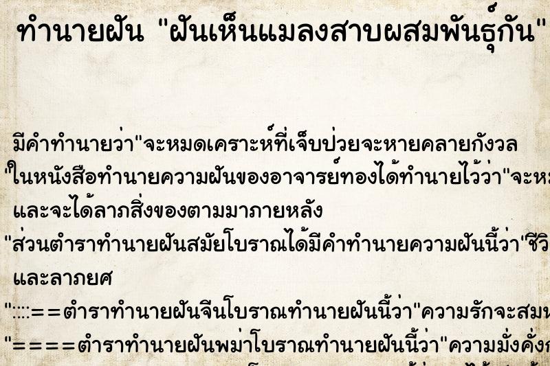 ทำนายฝัน ฝันเห็นแมลงสาบผสมพันธุ์กัน ทำนายฝัน ฝันเห็นแมลงสาบผสมพันธุ์กัน