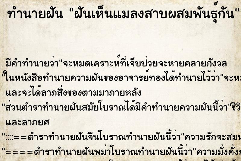 ทำนายฝัน ฝันเห็นแมลงสาบผสมพันธุ์กัน ตำราโบราณ แม่นที่สุดในโลก