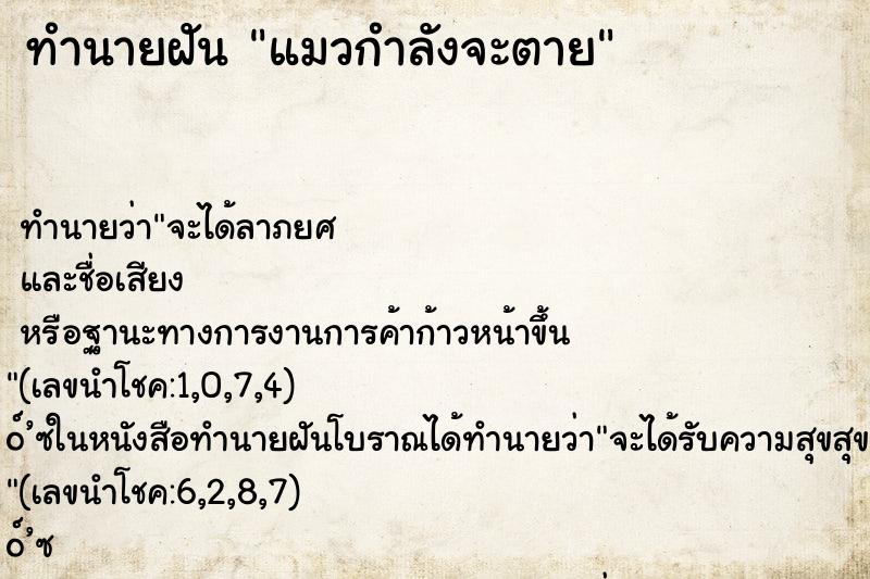 ทำนายฝัน แมวกำลังจะตาย ตำราโบราณ แม่นที่สุดในโลก