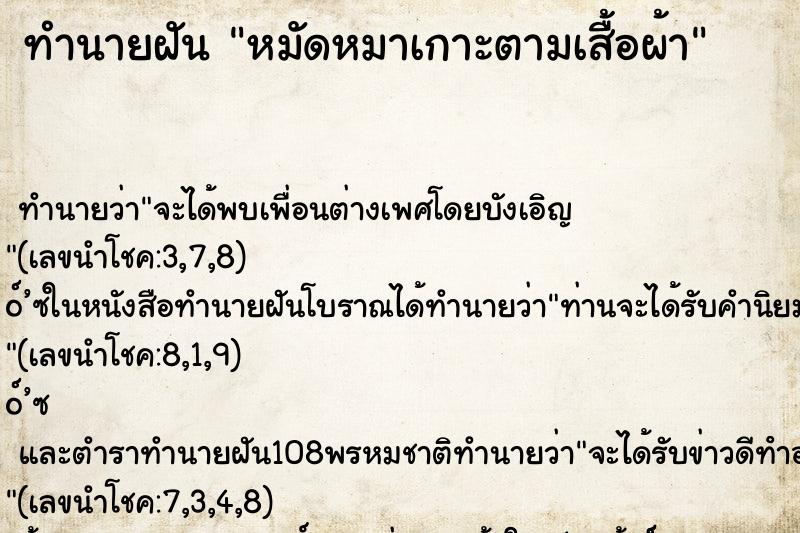 ทำนายฝัน หมัดหมาเกาะตามเสื้อผ้า ทำนายฝัน หมัดหมาเกาะตามเสื้อผ้า