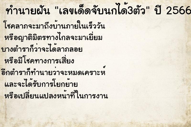 ทำนายฝันเลขเด็ดจับนกได้3ตัว ทำนายฝันทำนายฝันเลขเด็ดจับนกได้3ตัว
