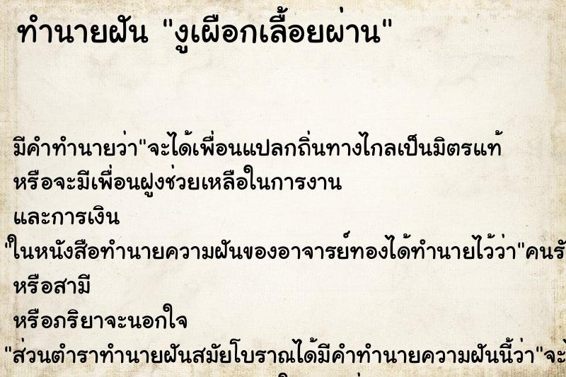 ทำนายฝันงูเผือกเลื้อยผ่าน ทำนายฝันทำนายฝันงูเผือกเลื้อยผ่าน