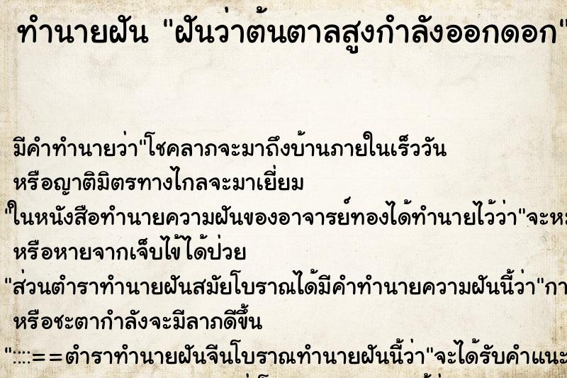 ทำนายฝันฝันว่าต้นตาลสูงกำลังออกดอก ทำนายฝันทำนายฝันฝันว่าต้นตาลสูงกำลังออกดอก